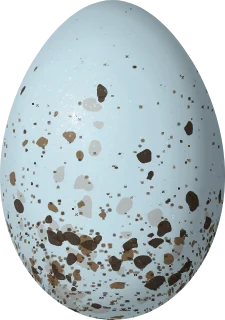 Pine Grosbeak egg, 26 × 18.3 mm