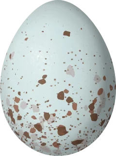 Illustration of a Pine Siskin (Spinus pinus) egg, 16.6 × 12.4 mm