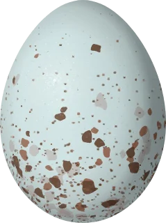 Pine Siskin egg, 16.6 × 12.4 mm