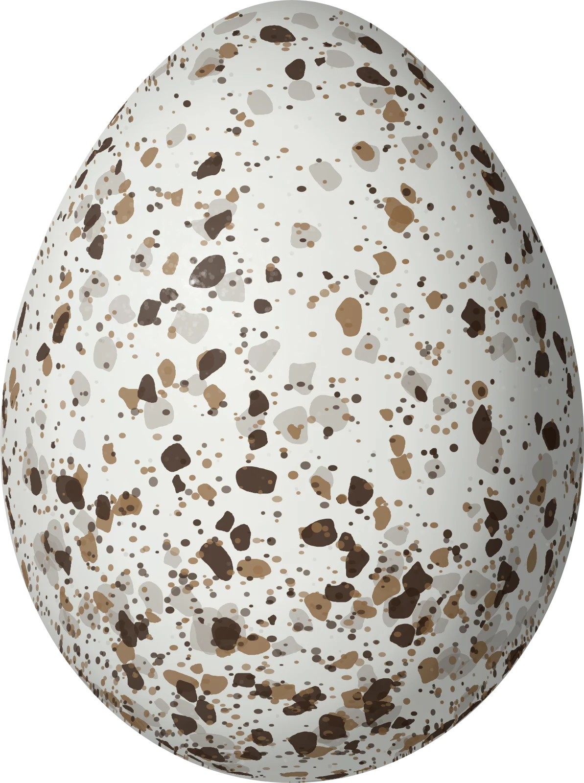 Illustration of a Pine Warbler (Setophaga pinus) egg, 18.1 × 13.5 mm