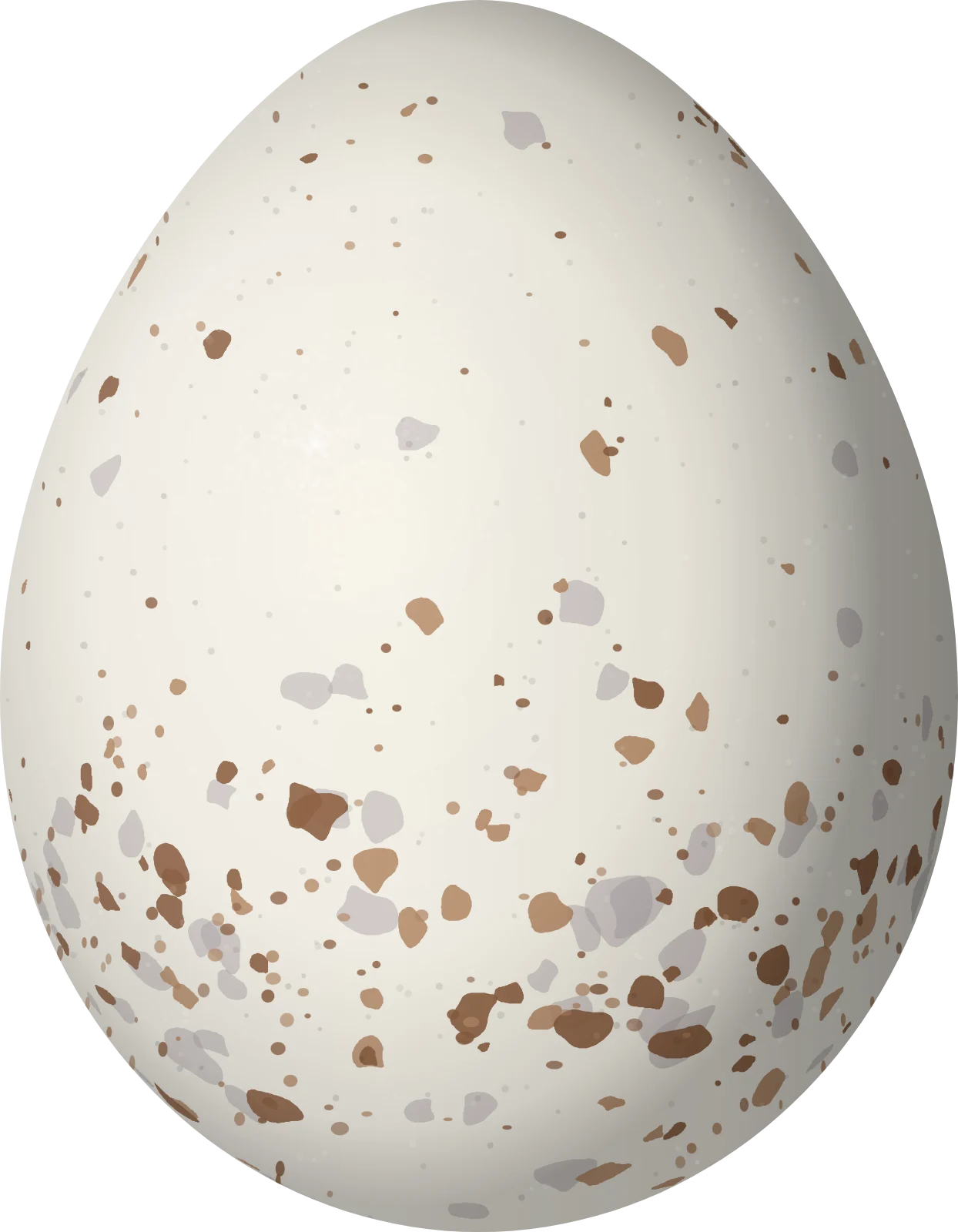 Illustration of a Pink-headed Warbler (Cardellina versicolor) egg, 17.1 × 13.3 mm