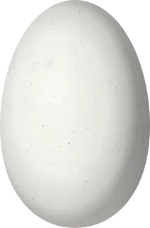 Illustration of a Pink-throated Brilliant (Heliodoxa gularis) egg, 13.5 × 8.9 mm