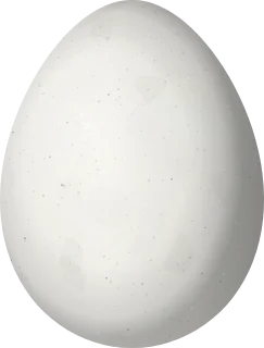 Illustration of a Pinto's Spinetail (Synallaxis infuscata) egg, 20.3 × 15.4 mm