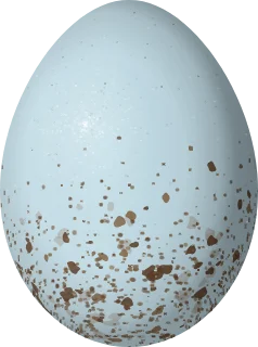 Pinyon Jay egg, 29.2 × 21.7 mm