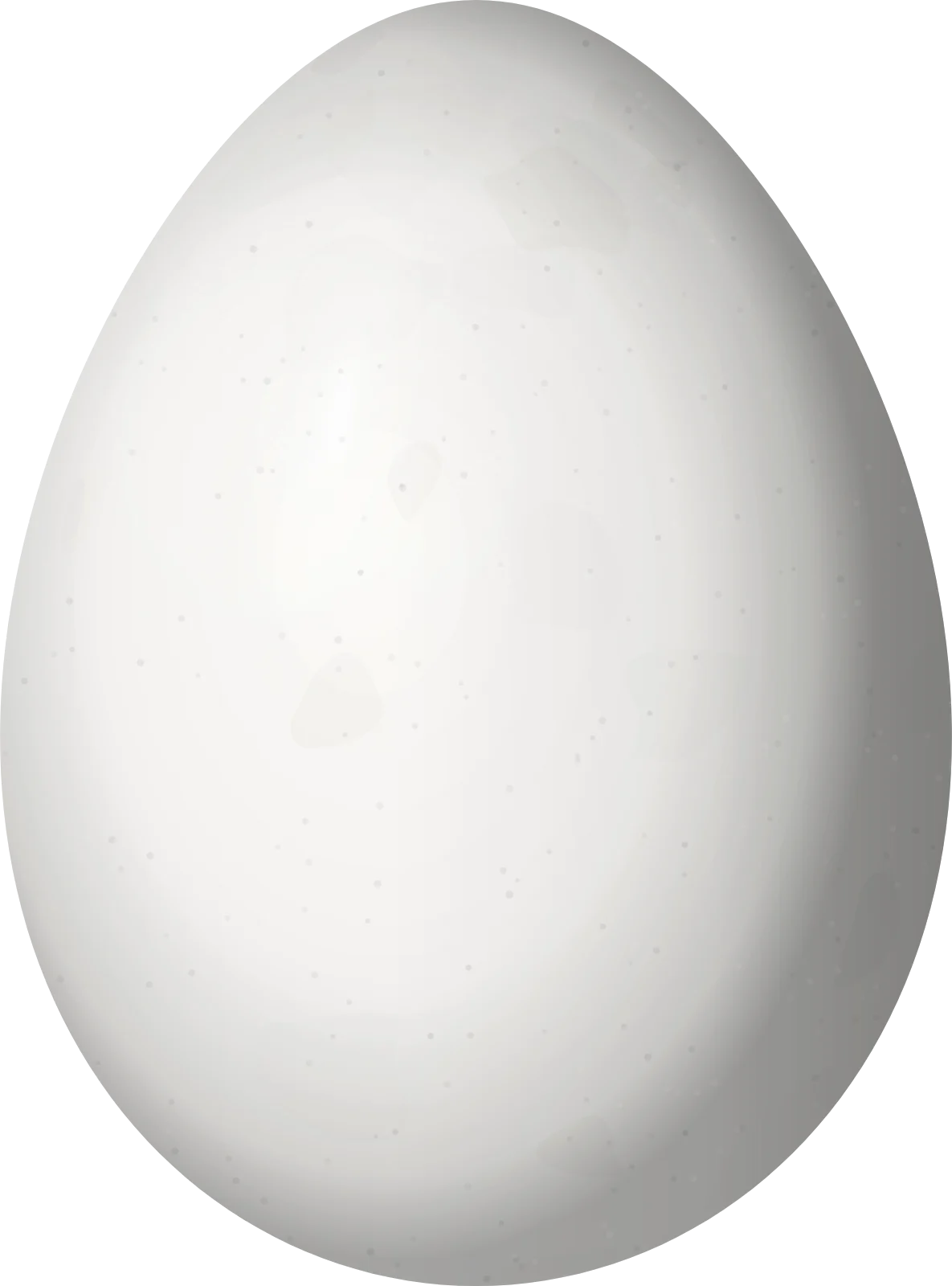 Illustration of a Piping Long-tailed Woodcreeper (Deconychura typica) egg, 24.3 × 18 mm