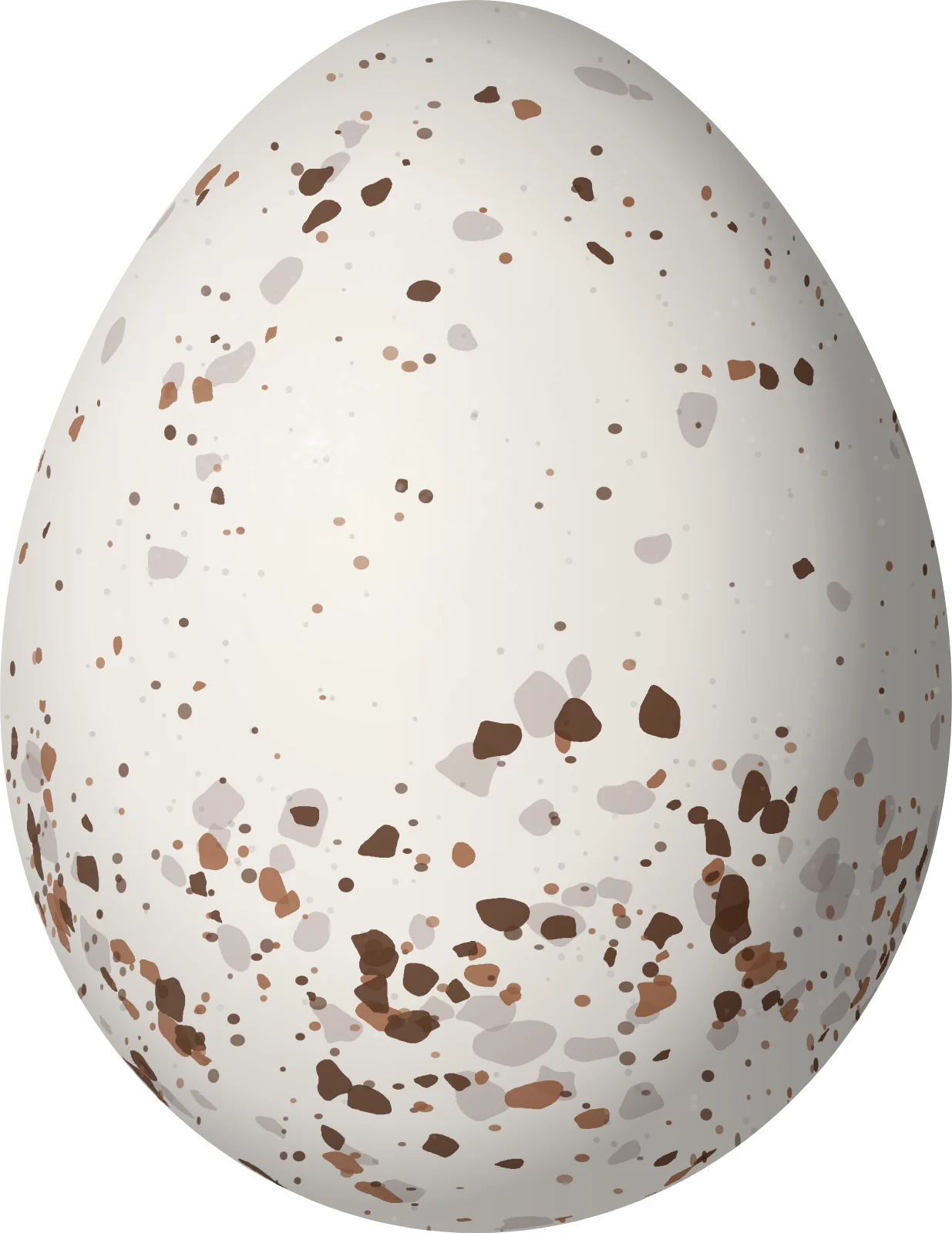 Illustration of a Pirre Chlorospingus (Chlorospingus inornatus) egg, 20.6 × 15.9 mm