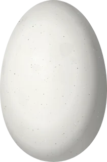 Illustration of a Pirre Hummingbird (Goldmania bella) egg, 13.5 × 8.9 mm