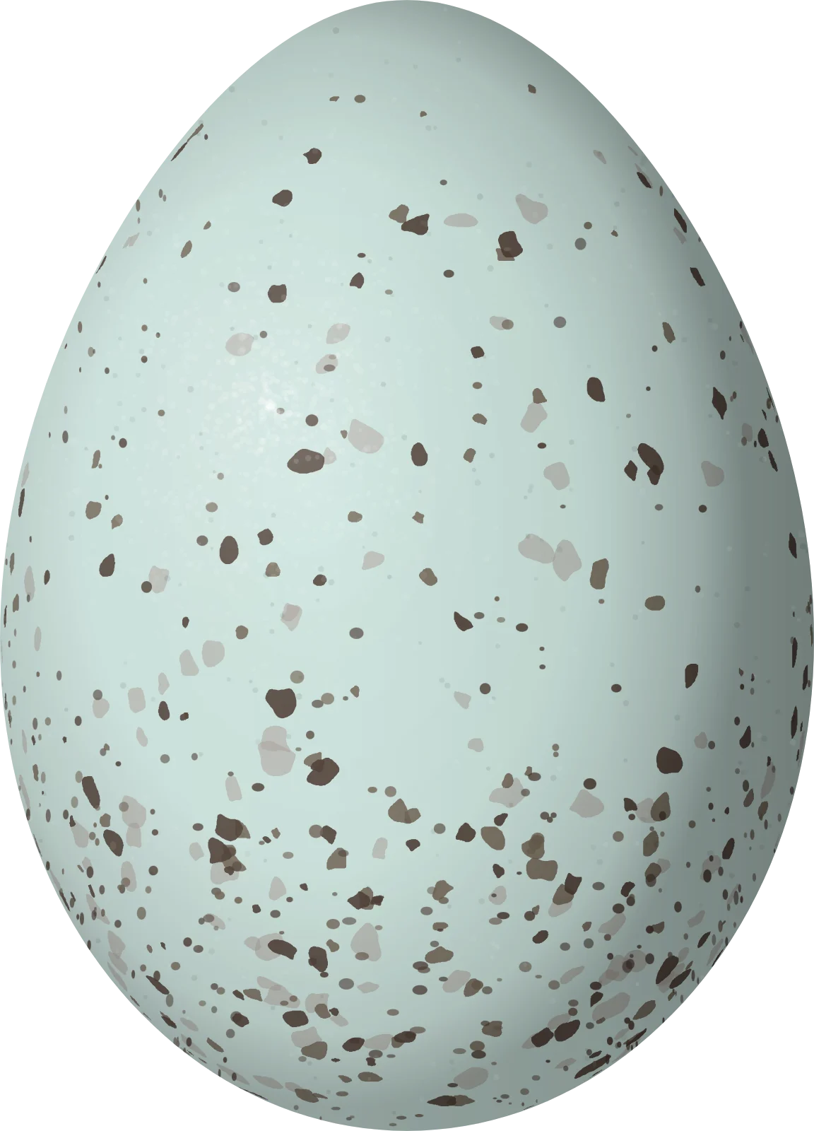 Illustration of a Plain-colored Seedeater (Catamenia inornata) egg, 19.73 × 14.2 mm