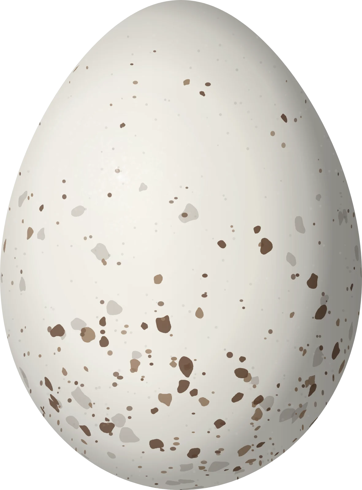 Illustration of a Plain-colored Tanager (Tangara inornata) egg, 20.6 × 15.2 mm