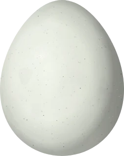 Illustration of a Plain-crowned Spinetail (Synallaxis gujanensis) egg, 20.57 × 16.28 mm