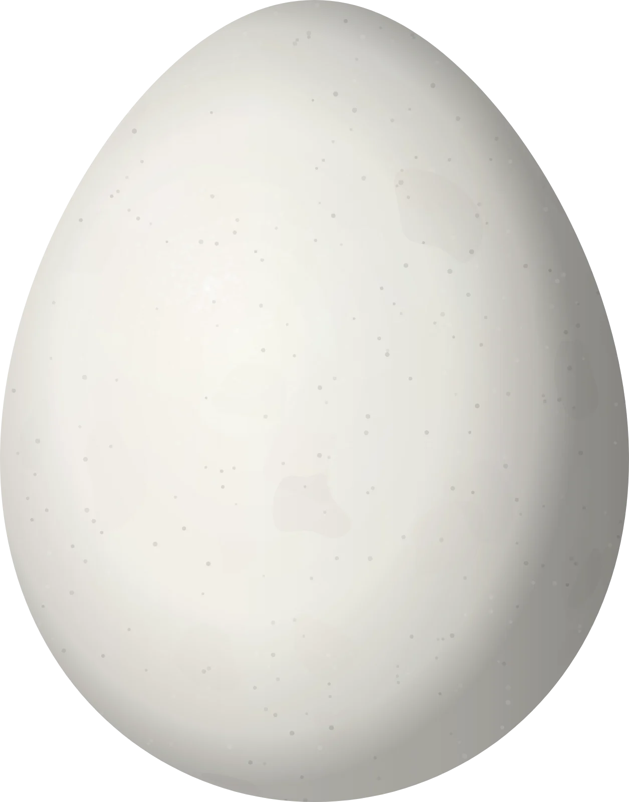 Illustration of a Plain-mantled Tit-Spinetail (Leptasthenura aegithaloides) egg, 17.6 × 13.8 mm