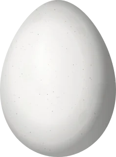 Illustration of a Plain Softtail (Thripophaga fusciceps) egg, 24.3 × 18 mm