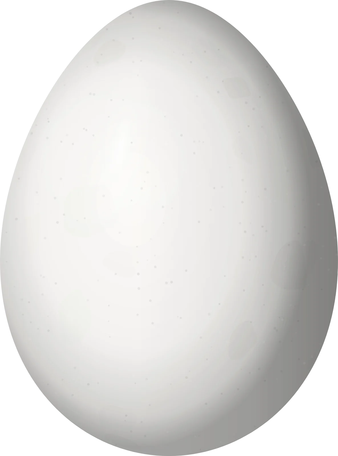 Illustration of a Plain Softtail (Thripophaga fusciceps) egg, 24.3 × 18 mm