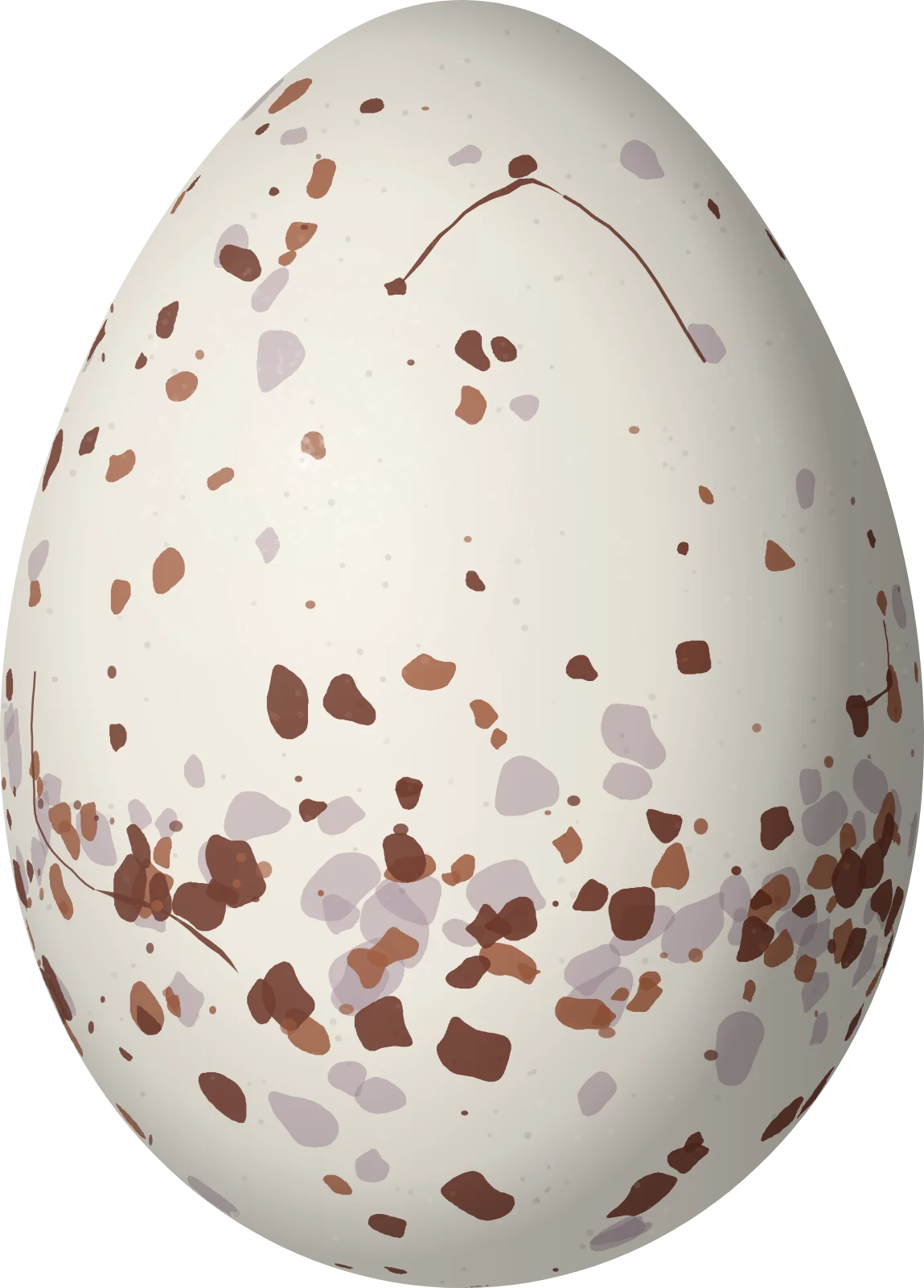 Illustration of a Plain-throated Antwren (Isleria hauxwelli) egg, 18.8 × 13.5 mm