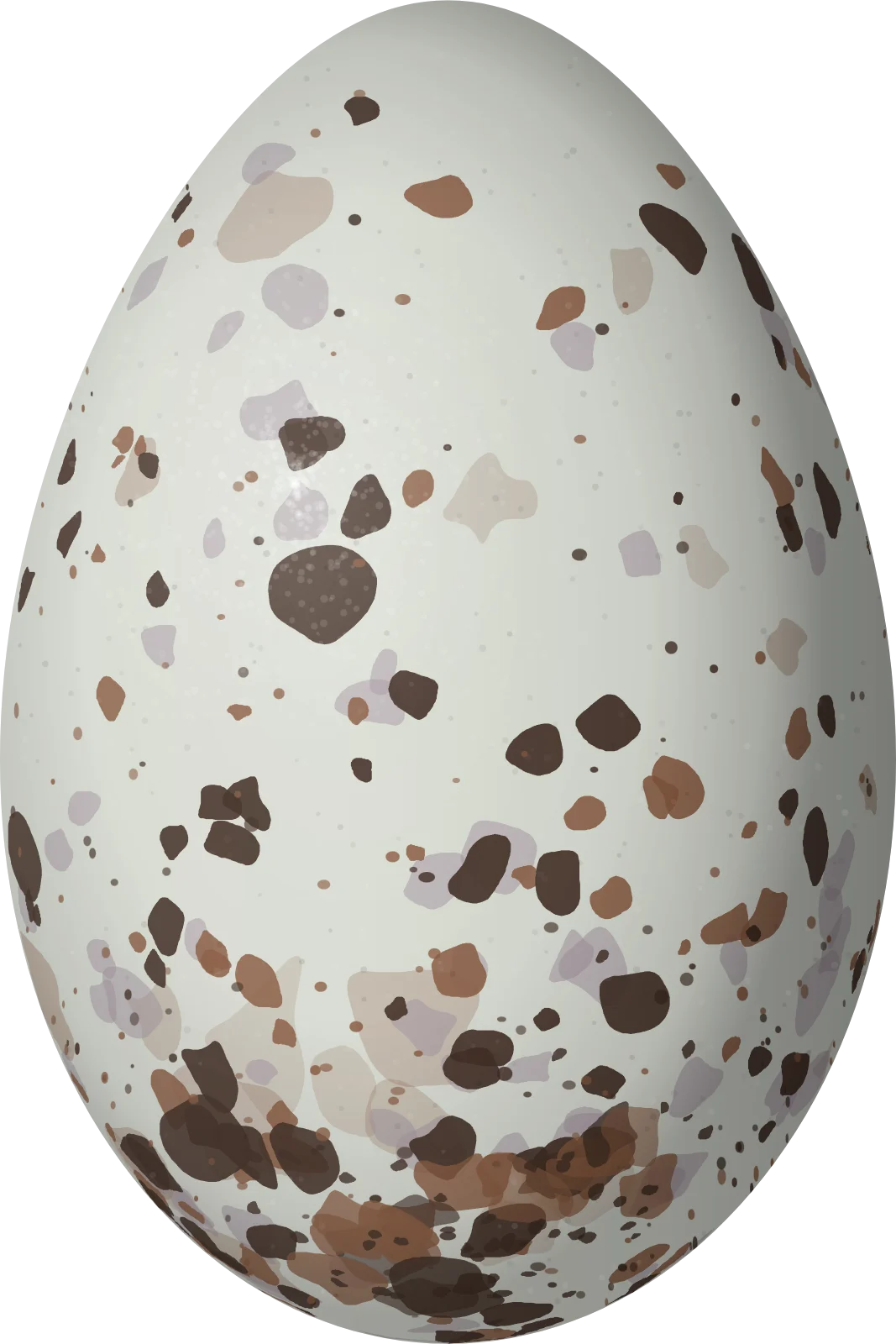 Illustration of a Plumbeous Seedeater (Sporophila plumbea) egg, 18 × 12 mm