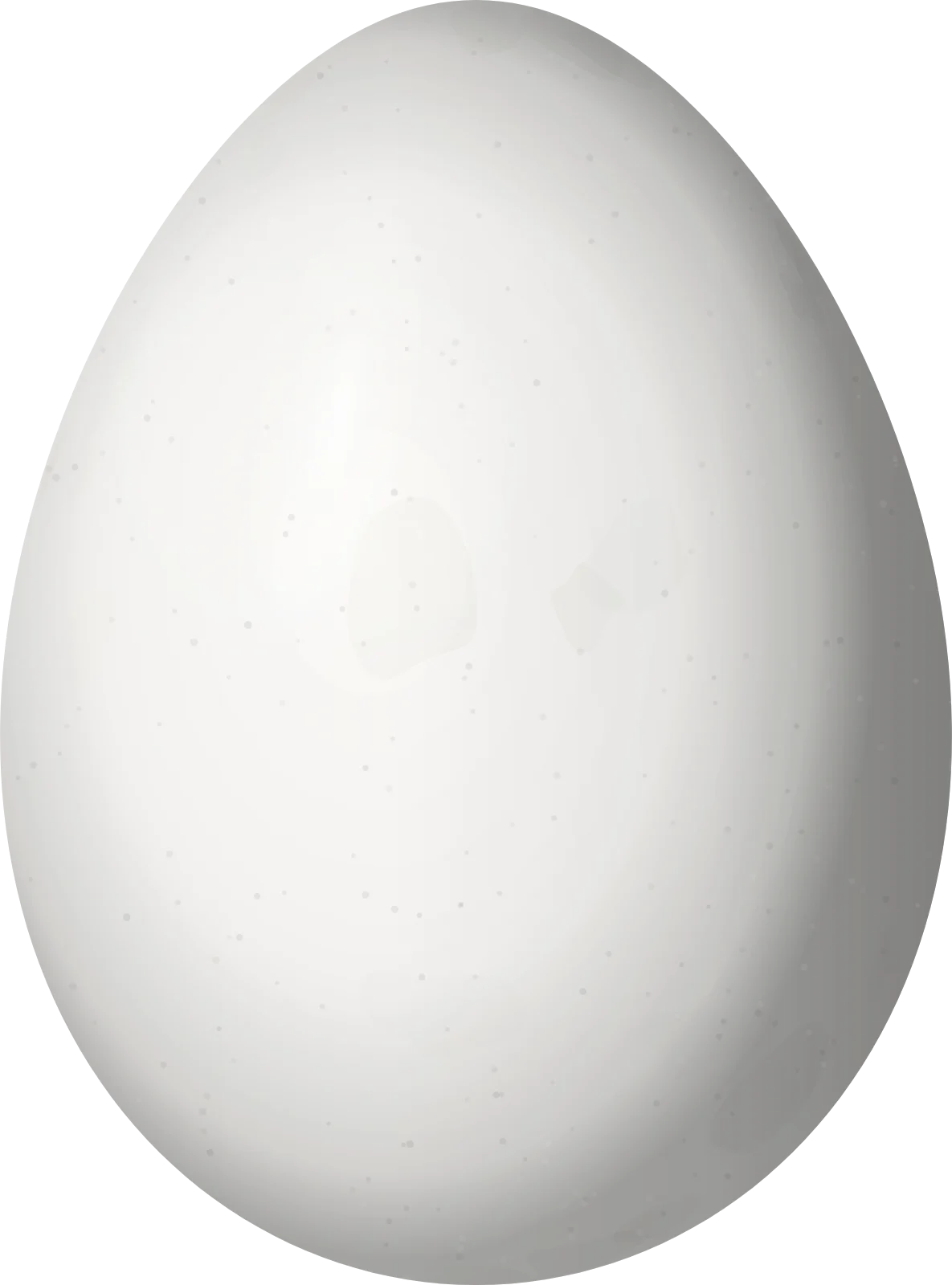 Illustration of a Point-tailed Palmcreeper (Berlepschia rikeri) egg, 24.3 × 18 mm