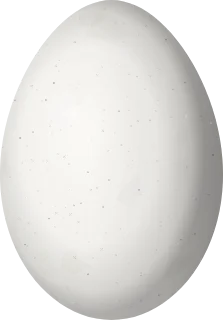 Illustration of a Powerful Woodpecker (Campephilus pollens) egg, 34 × 23.7 mm