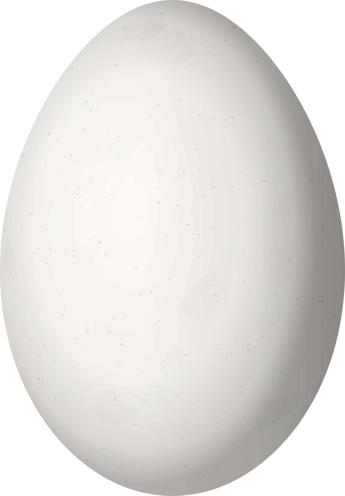 Illustration of a Powerful Woodpecker (Campephilus pollens) egg, 34 × 23.7 mm