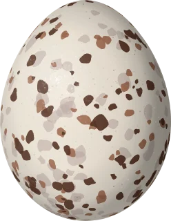Prairie Warbler egg, 15.9 × 12.3 mm