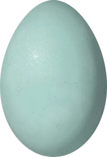 Illustration of a Puna Ibis (Plegadis ridgwayi) egg, 52 × 35.4 mm