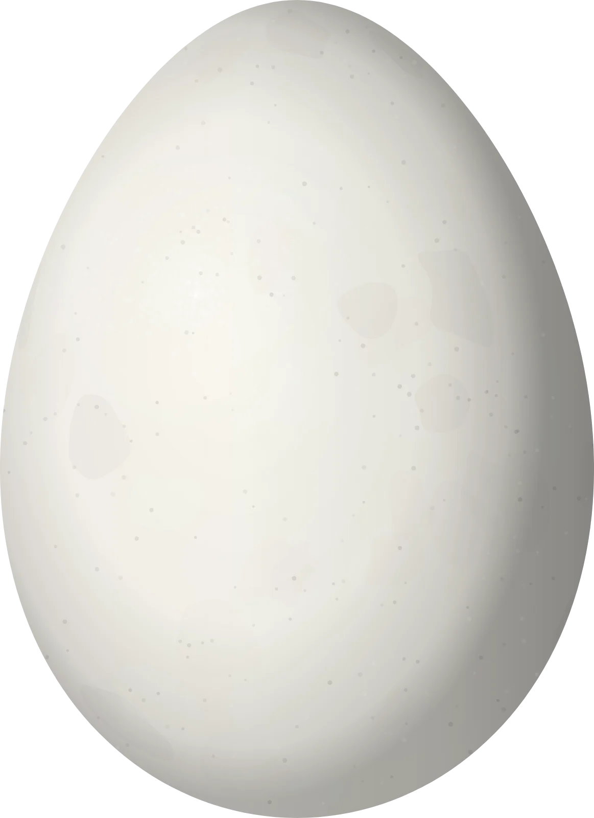 Illustration of a Puna Miner (Geositta punensis) egg, 24.55 × 17.85 mm
