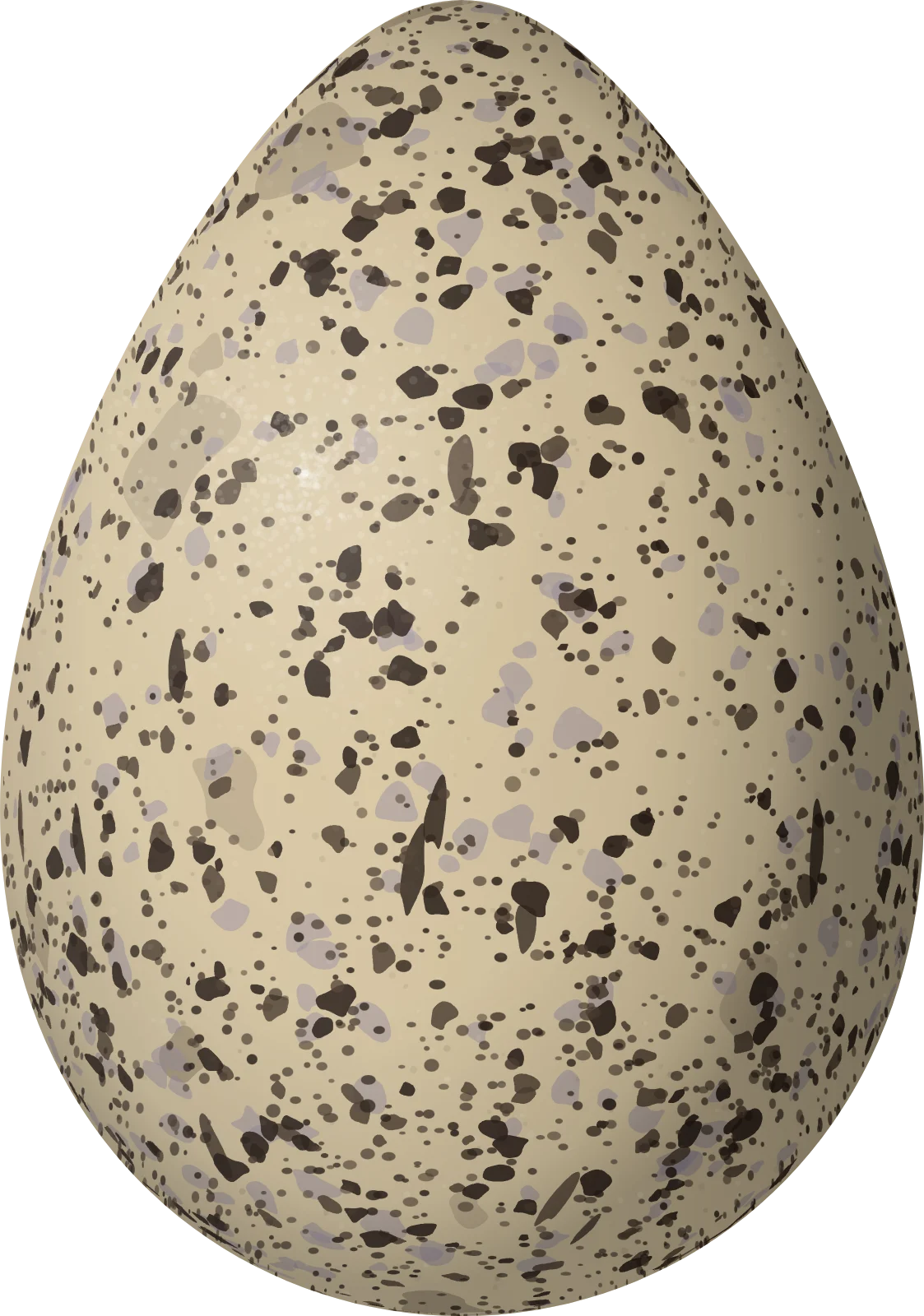Illustration of a Puna Plover (Anarhynchus alticola) egg, 34.85 × 24.45 mm