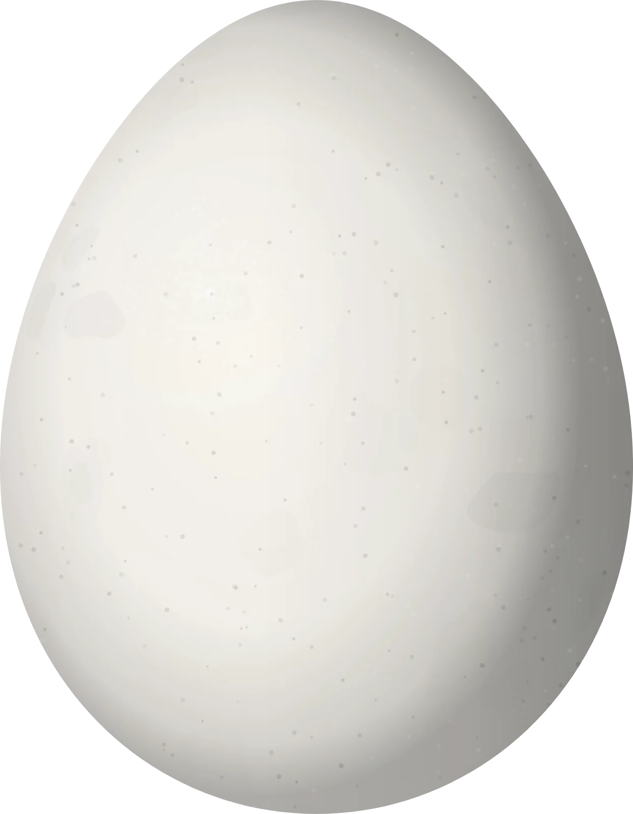 Illustration of a Puna Tapaculo (Scytalopus simonsi) egg, 22.9 × 17.8 mm