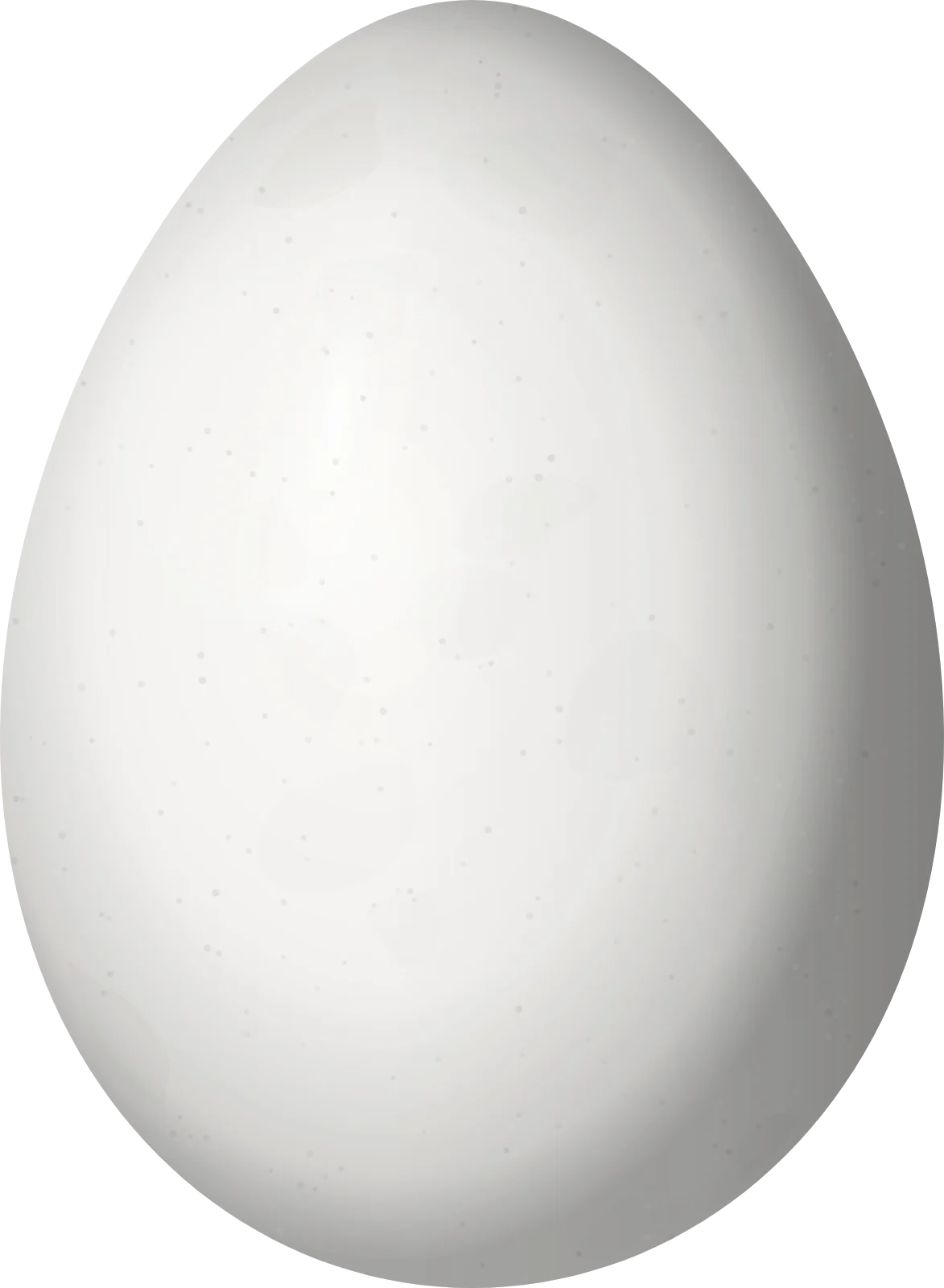 Illustration of a Puna Thistletail (Asthenes helleri) egg, 22.5 × 16.5 mm