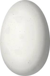 Illustration of a Purple-backed Sunbeam (Aglaeactis aliciae) egg, 13.5 × 8.9 mm