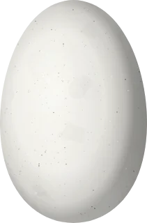 Illustration of a Purple-chested Hummingbird (Polyerata rosenbergi) egg, 13.5 × 8.9 mm