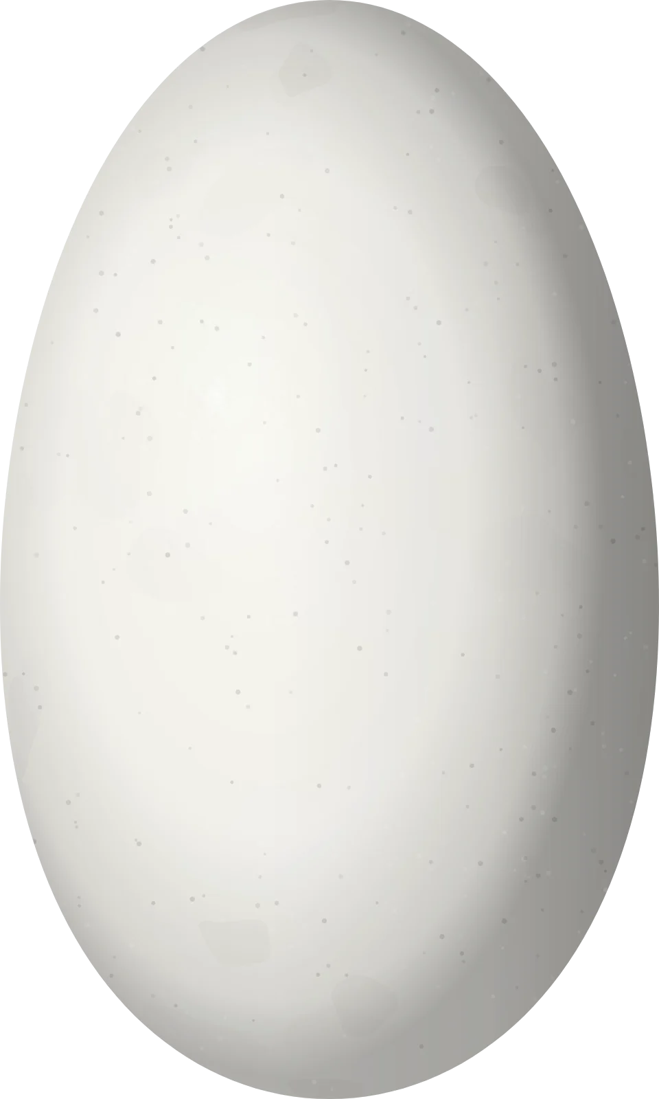 Illustration of a Purple-crowned Plovercrest (Stephanoxis loddigesii) egg, 13.5 × 8.1 mm