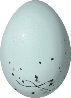 Purple Finch egg, 20.2 × 14.6 mm