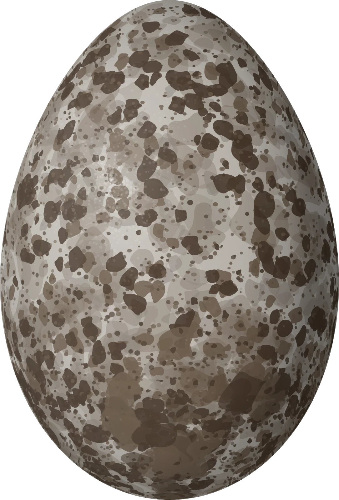 Illustration of a Purple-throated Fruitcrow (Querula purpurata) egg, 31 × 21 mm