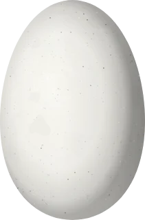 Illustration of a Purple-throated Woodstar (Philodice mitchellii) egg, 13.5 × 8.9 mm
