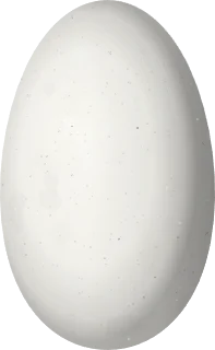 Illustration of a Rainbow Starfrontlet (Coeligena iris) egg, 16.1 × 9.9 mm