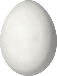 Illustration of a Red-and-white Crake (Rufirallus leucopyrrhus) egg, 33 × 24.8 mm