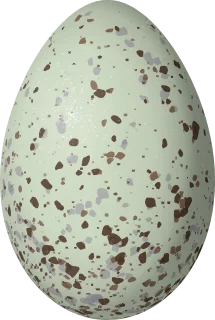 Illustration of a Red-backed Sierra Finch (Idiopsar dorsalis) egg, 26.4 × 17.7 mm