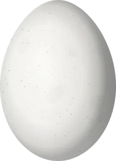 Red-bellied Woodpecker egg, 26.06 × 18.78 mm
