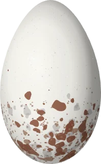 Illustration of a Red-billed Pied Tanager (Lamprospiza melanoleuca) egg, 27.2 × 16.8 mm