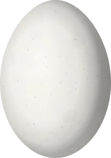 Red-billed Pigeon egg, 38.6 × 27.3 mm