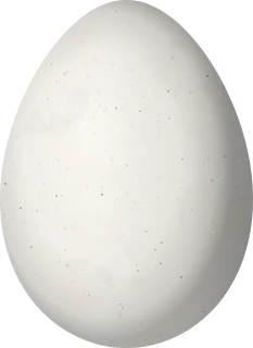Illustration of a Red-billed Scythebill (Campylorhamphus trochilirostris) egg, 28.4 × 20.7 mm