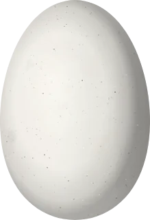 Illustration of a Red-billed Streamertail (Trochilus polytmus) egg, 13.3 × 9.1 mm