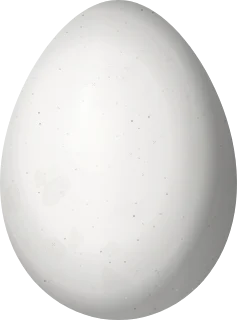 Illustration of a Red-billed Woodcreeper (Hylexetastes perrotii) egg, 24.3 × 18 mm