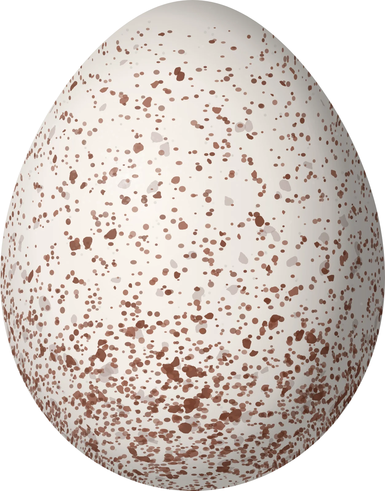 Illustration of a Red-breasted Nuthatch (Sitta canadensis) egg, 15.2 × 11.9 mm