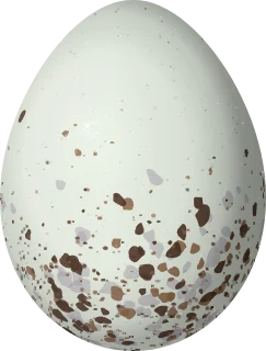 Illustration of a Red-capped Cardinal (Paroaria gularis) egg, 22.4 × 17 mm