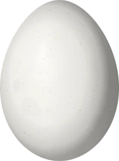 Illustration of a Red-crowned Woodpecker (Melanerpes rubricapillus) egg, 23.75 × 17.65 mm