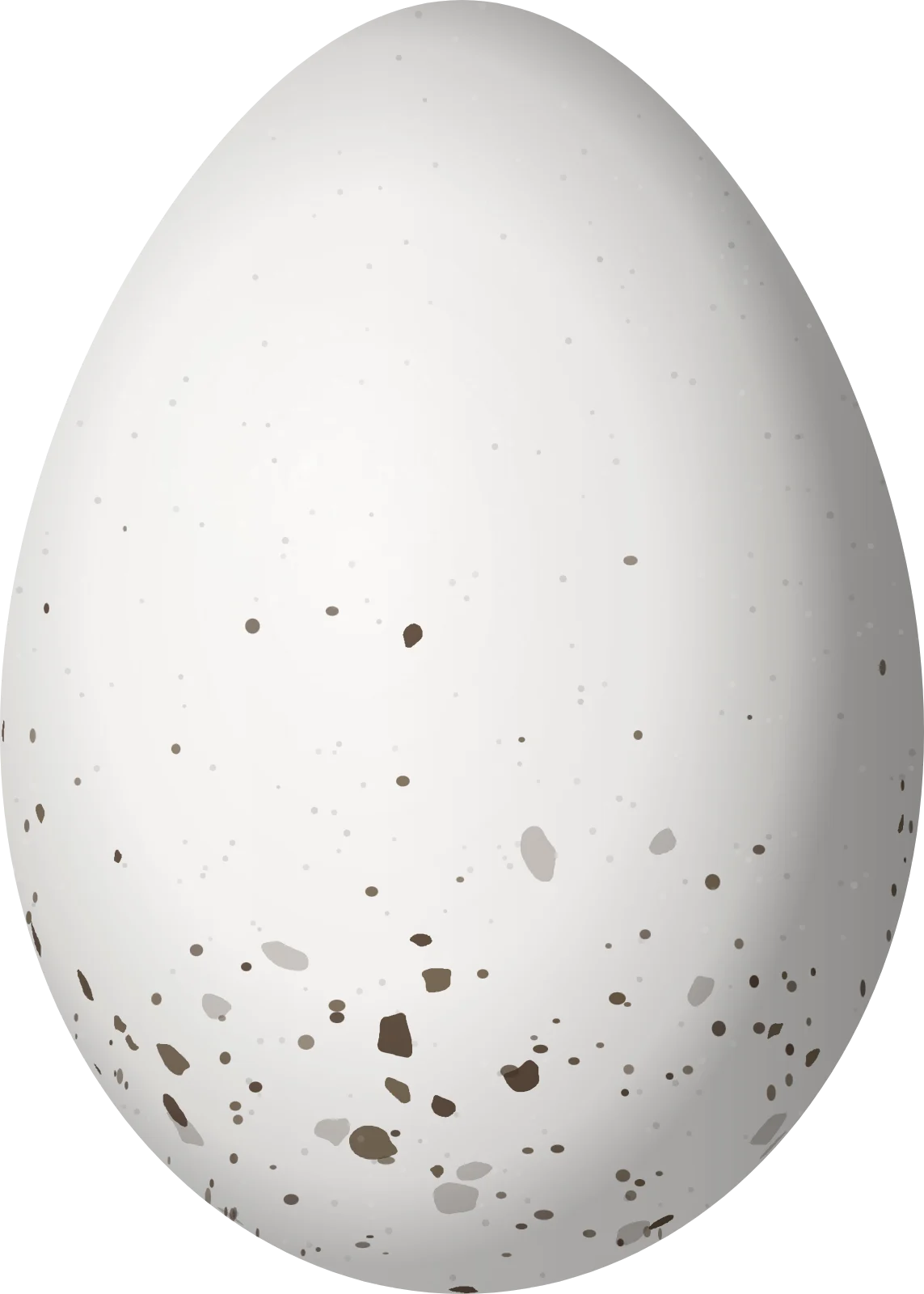 Illustration of a Red-eyed Vireo (Vireo olivaceus) egg, 20.3 × 14.5 mm