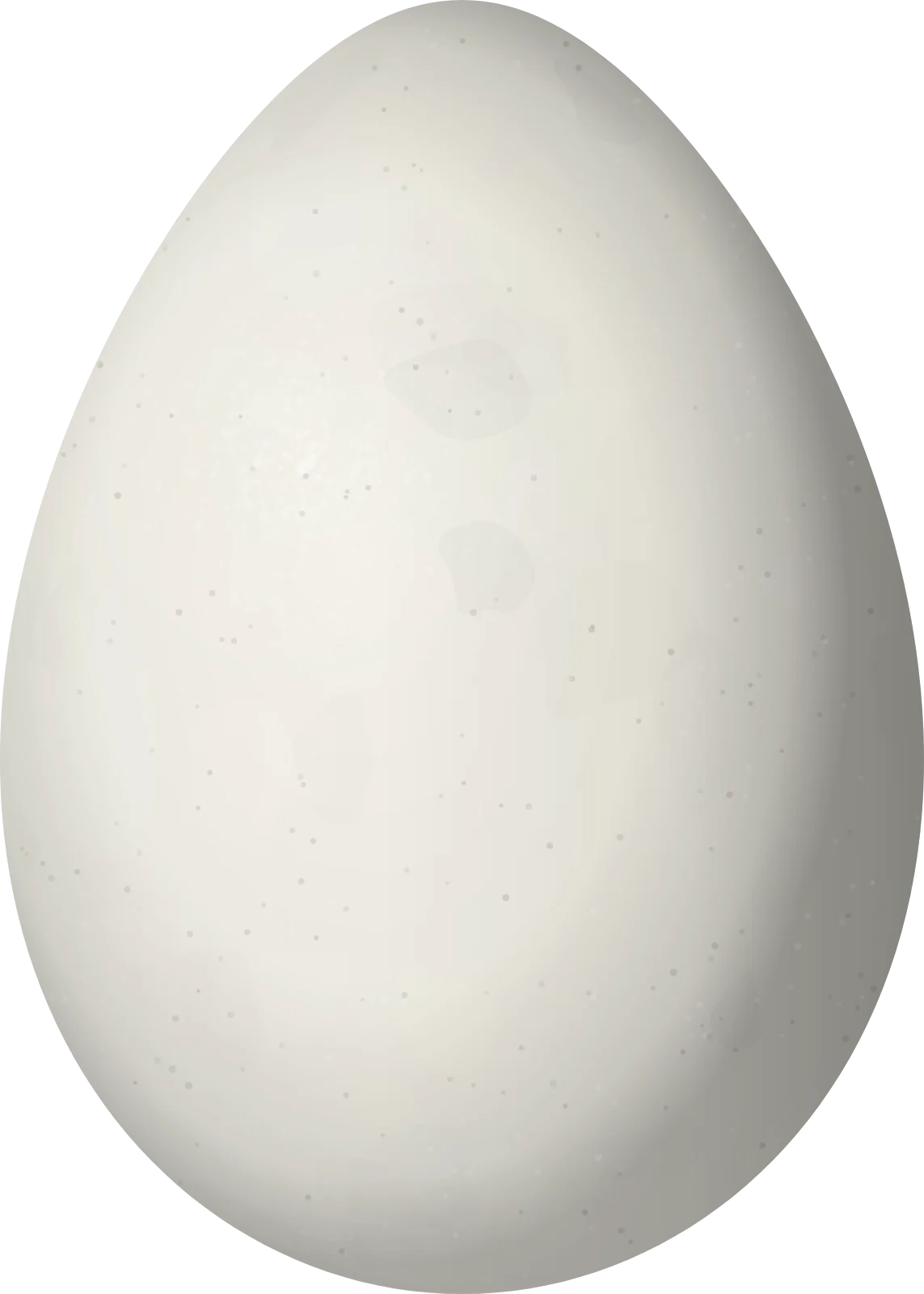 Illustration of a Red-faced Guan (Penelope dabbenei) egg, 70 × 50 mm