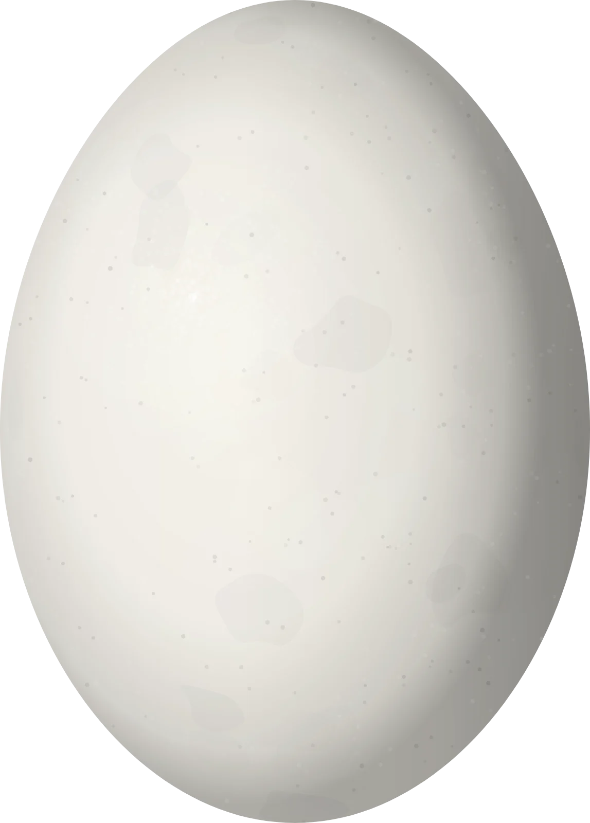 Illustration of a Red-fronted Macaw (Ara rubrogenys) egg, 49.4 × 35.4 mm