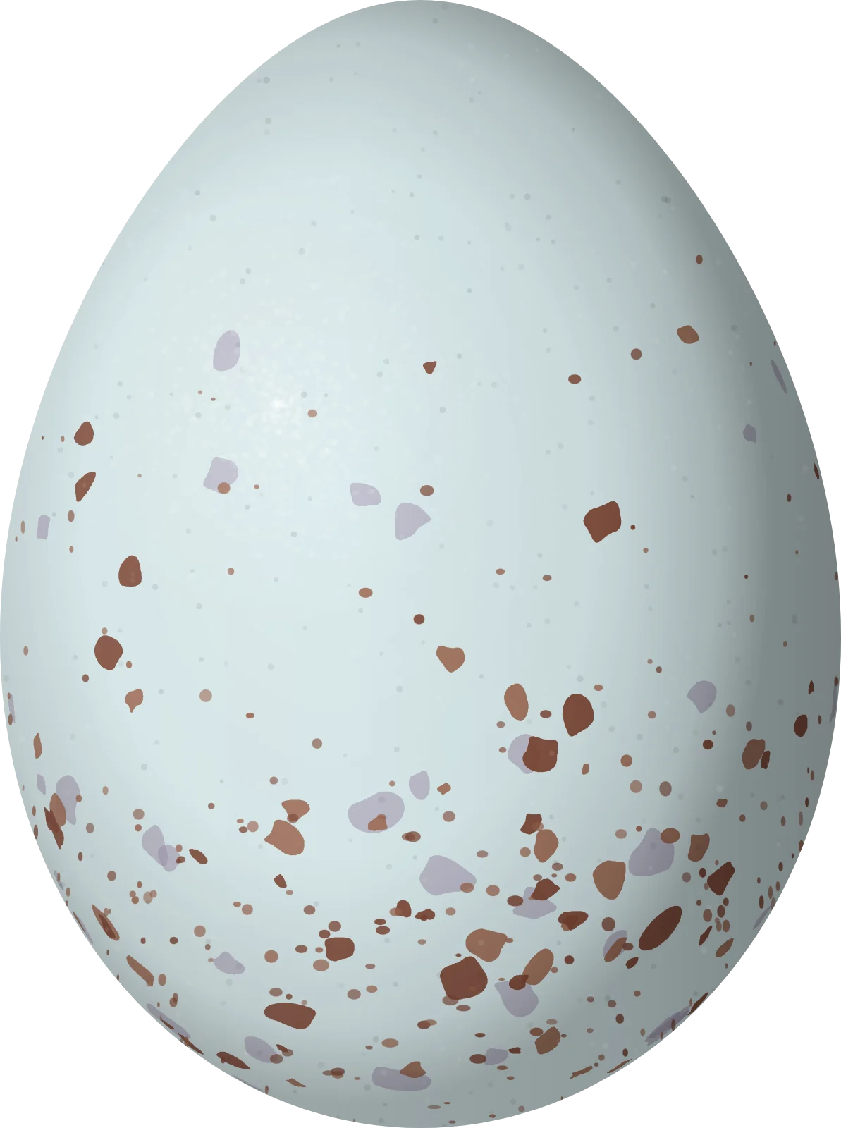 Illustration of a Red-hooded Tanager (Piranga rubriceps) egg, 23.2 × 17.3 mm